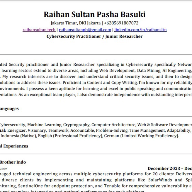 Professional CV